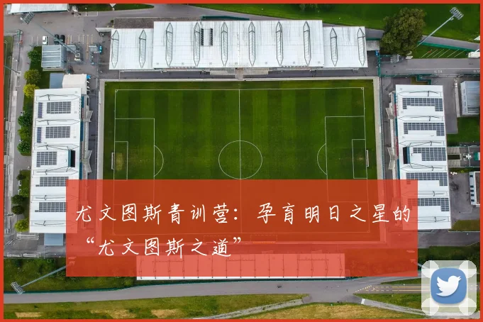 尤文图斯青训营：孕育明日之星的“尤文图斯之道”